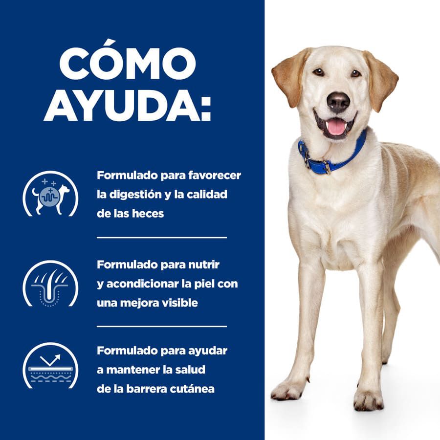 12 kg Hill's Prescription Diet Food Sensitives d/d Pato pienso para perros, , large Imagen numero 4